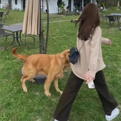 隔壁的护士助理